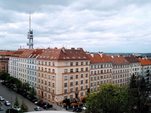 náhled